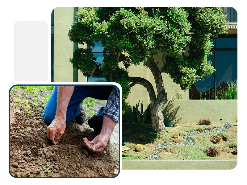 Gardening and Landscaping M3 Services